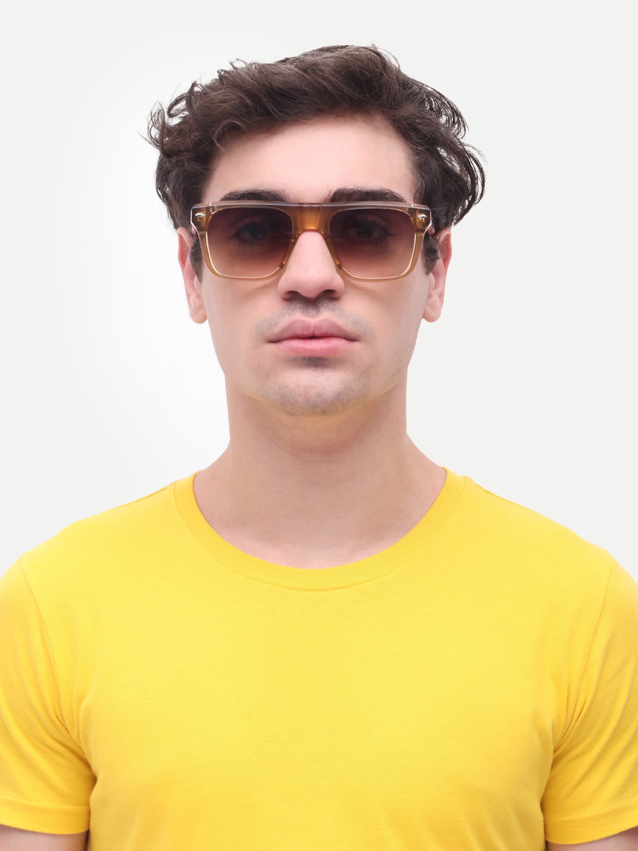 Men's Classic Brown Wayfarer Sunglasses
