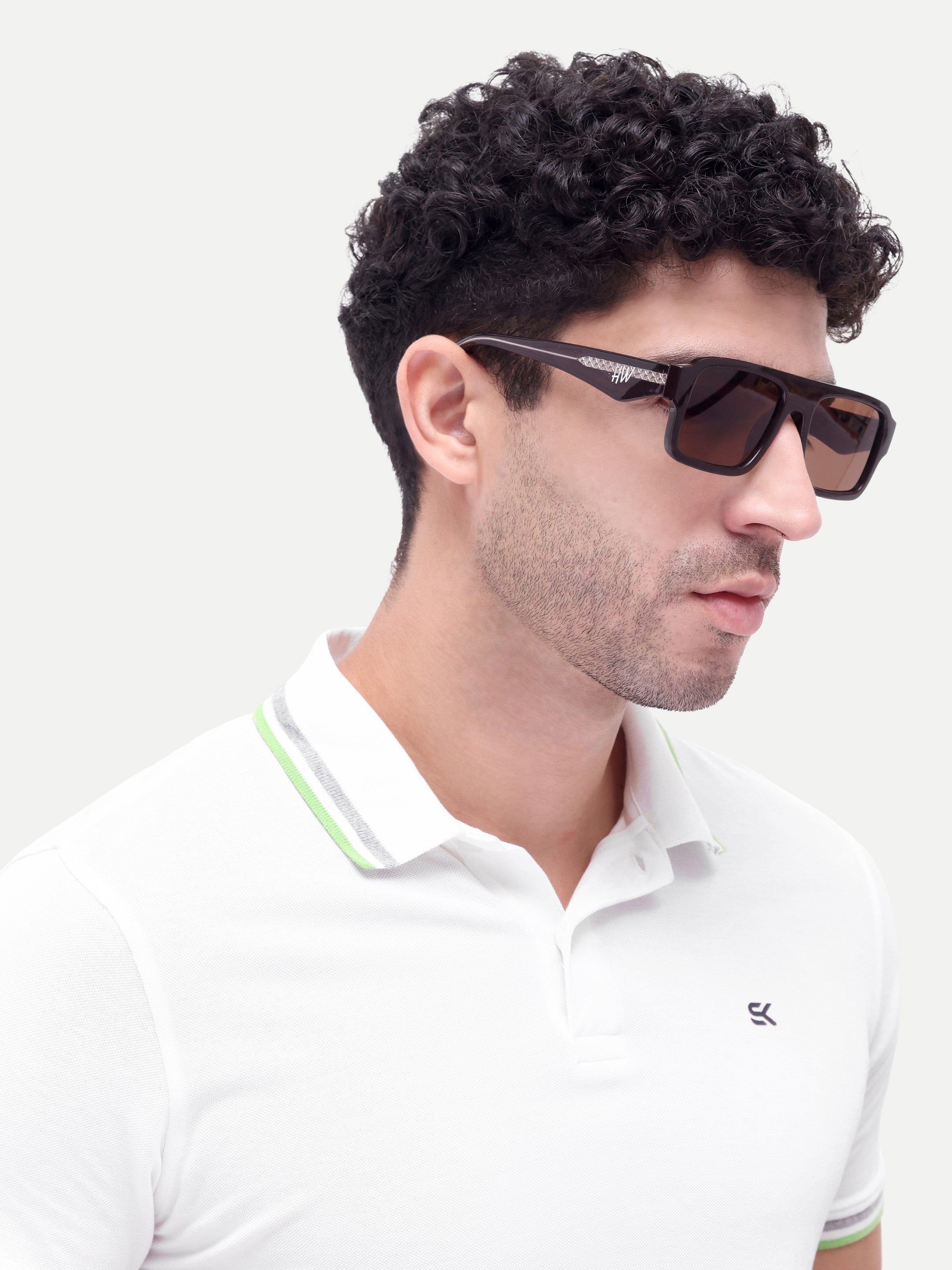 Onyx Brown Wayfarer Mens Sunglasses