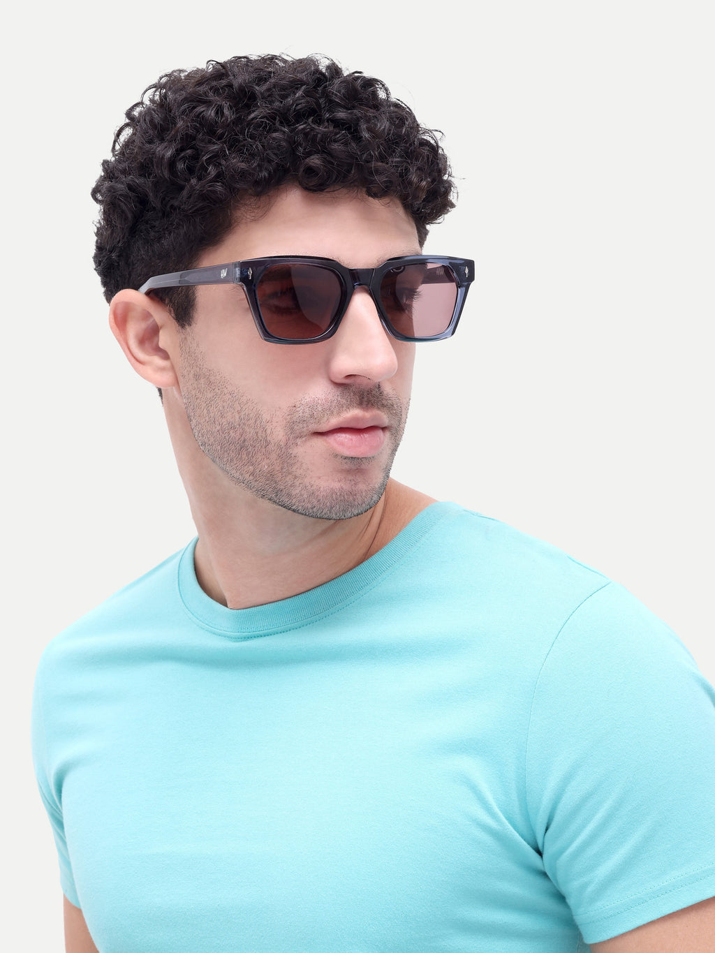 Ravello Brown Wayfarer Mens Sunglasses