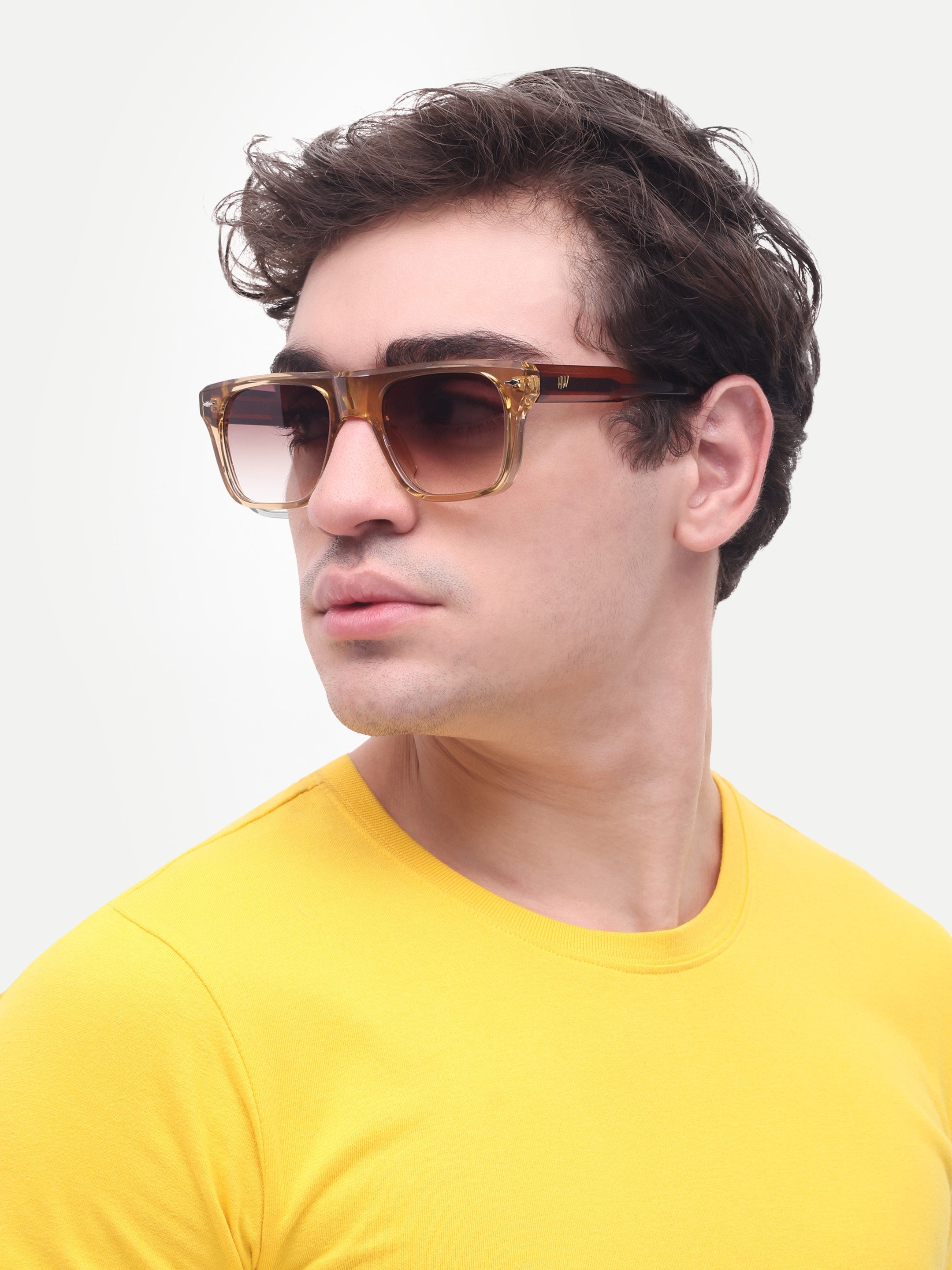 Men's Classic Brown Wayfarer Sunglasses