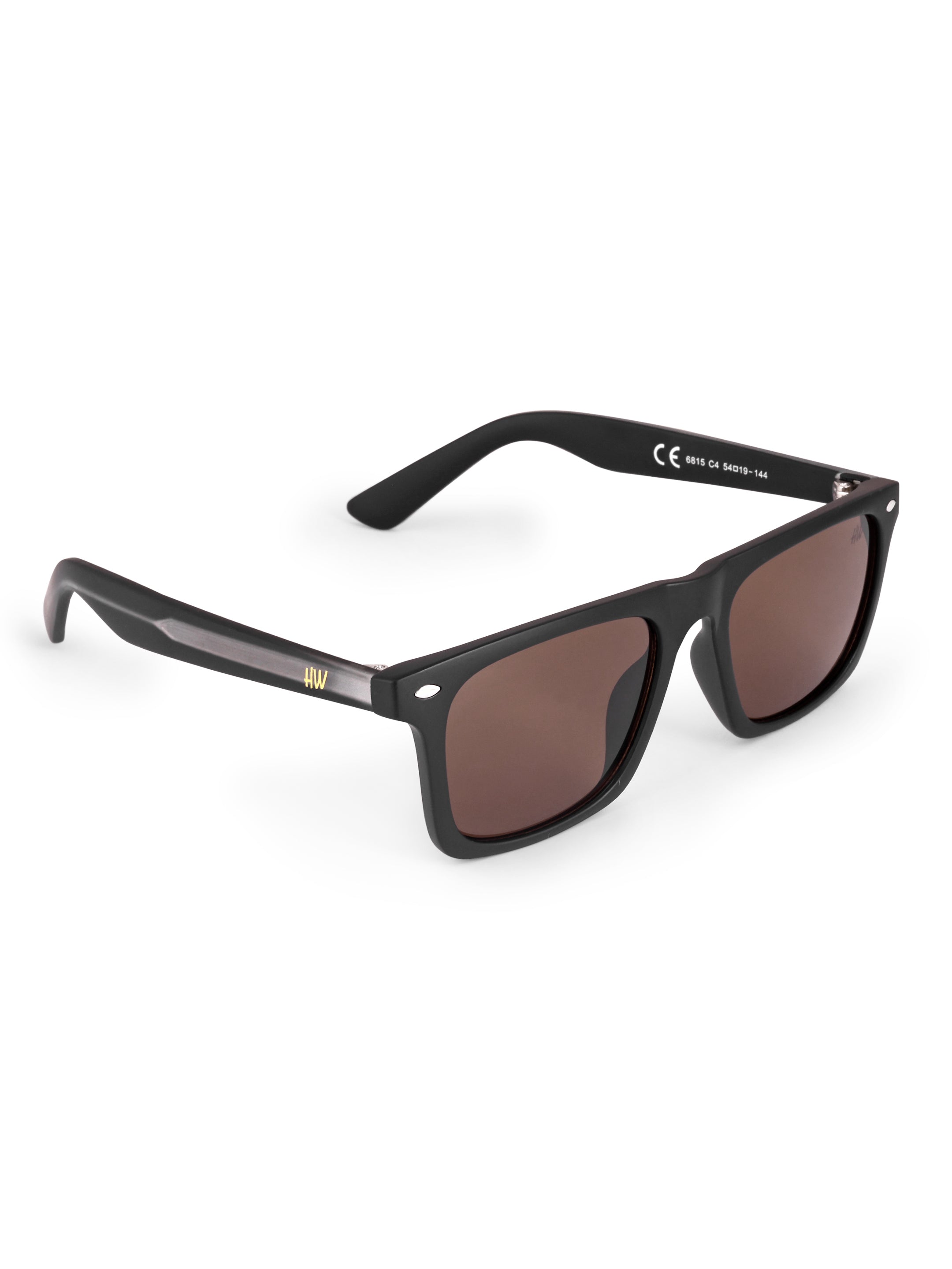 Men's Classic Dark Brown Wayfarer Sunglasses