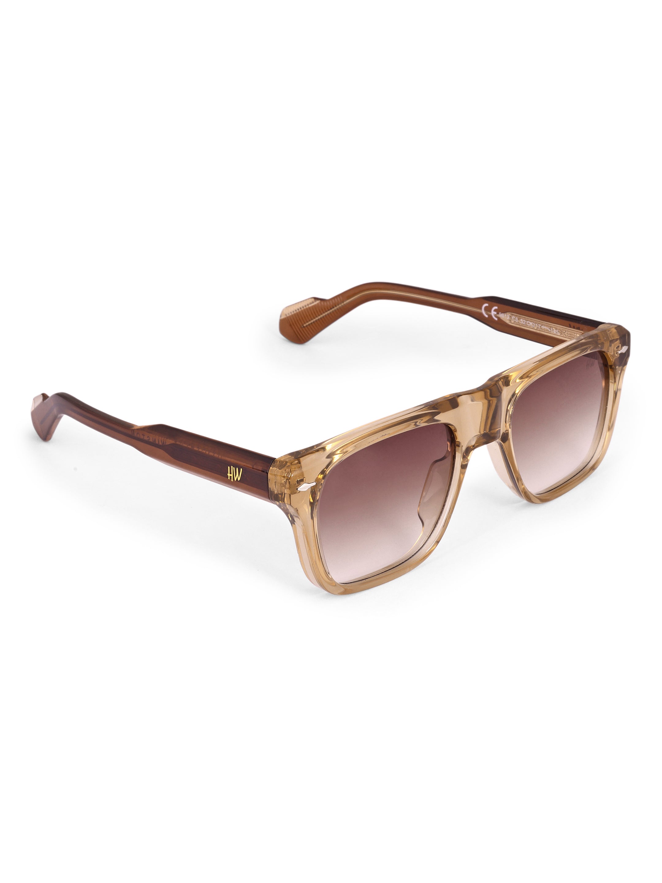 Men's Classic Brown Wayfarer Sunglasses