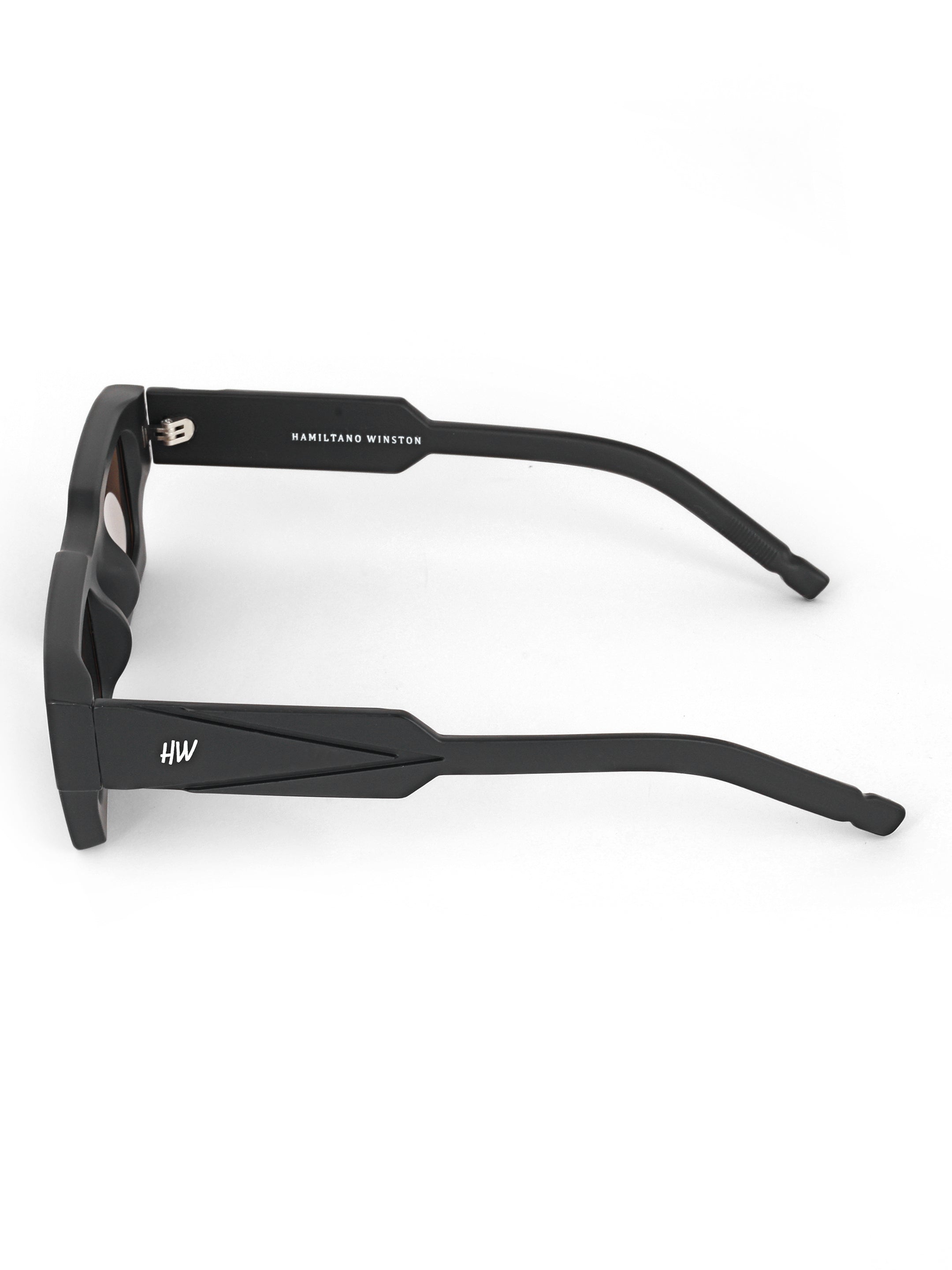 Men Wayfarer UV Protected Sunglasses Brown