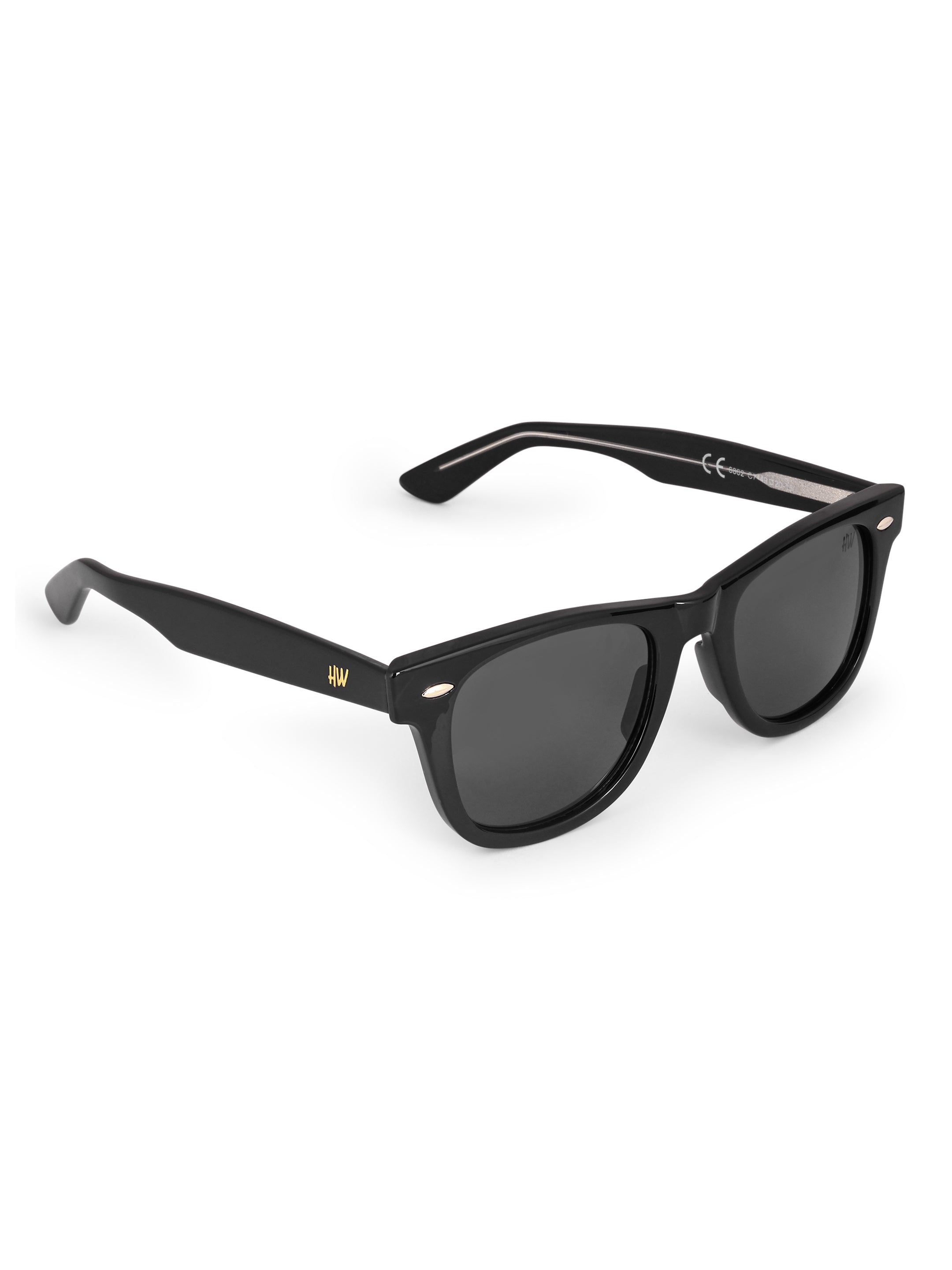 Men's Classic Black Wayfarer Sunglasses