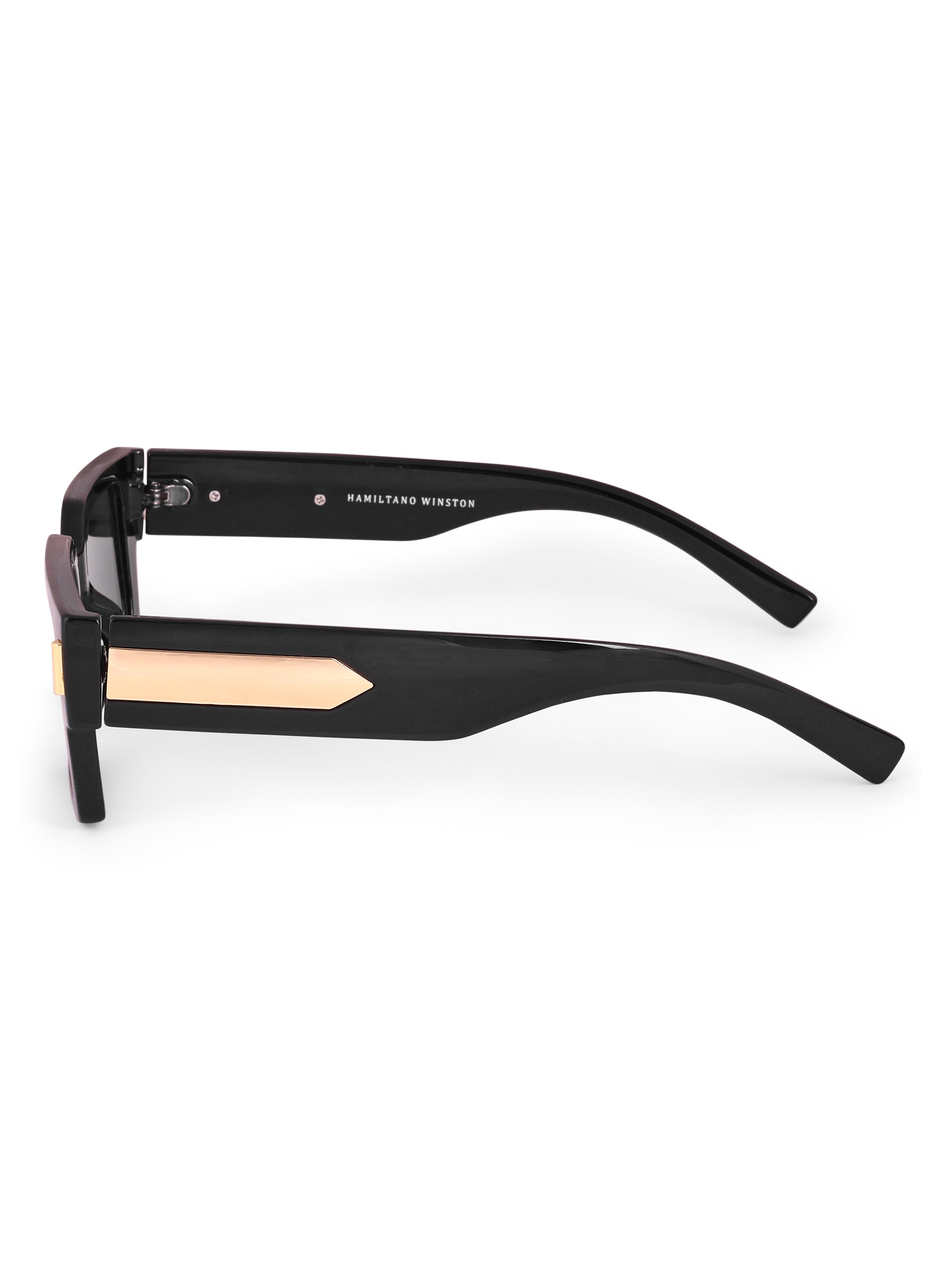 Women's Classic Golden Black Wayfarer UV Protected Sunglasses