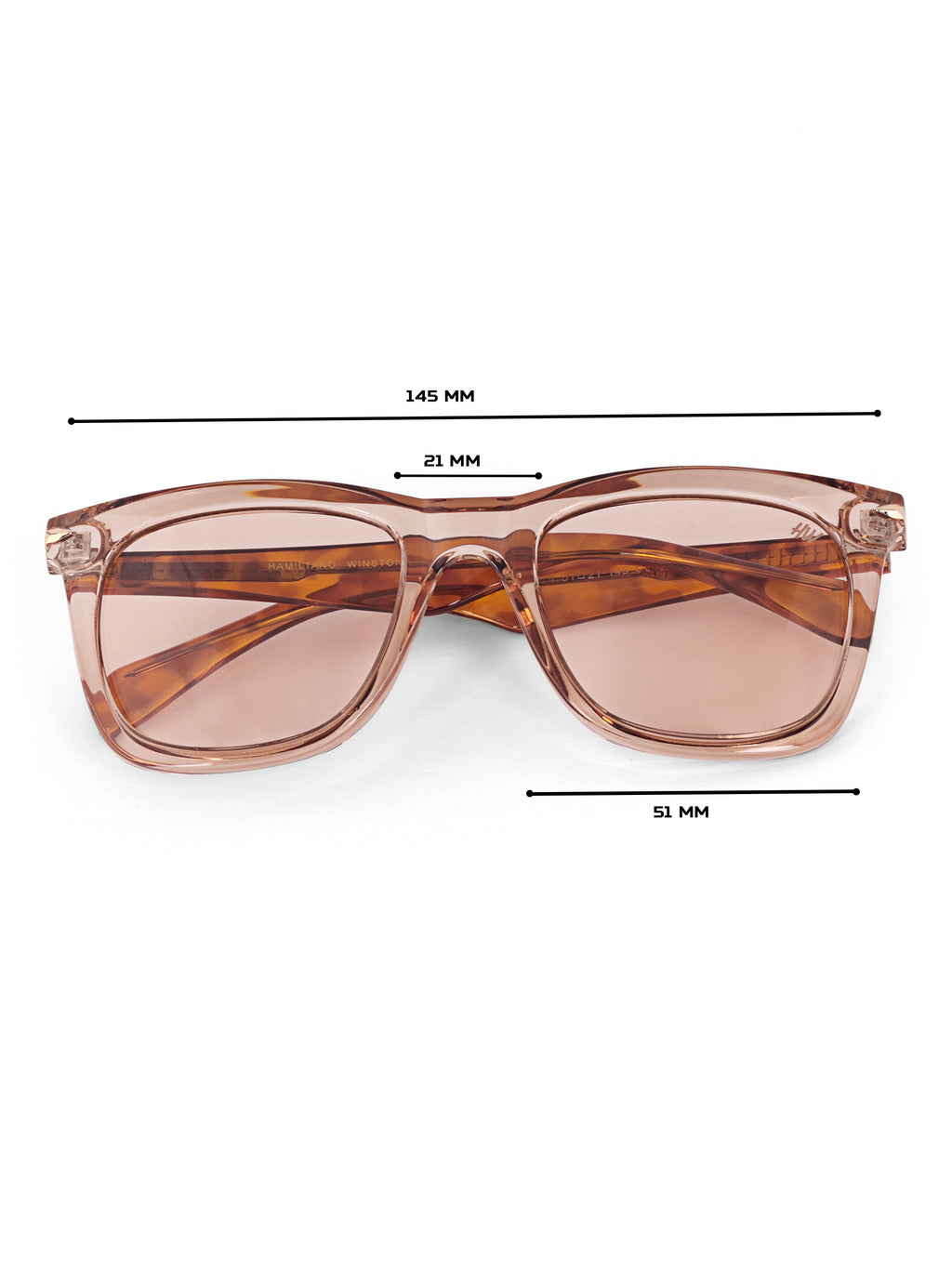 Men Wayfarer UV Protected Sunglasses Brown