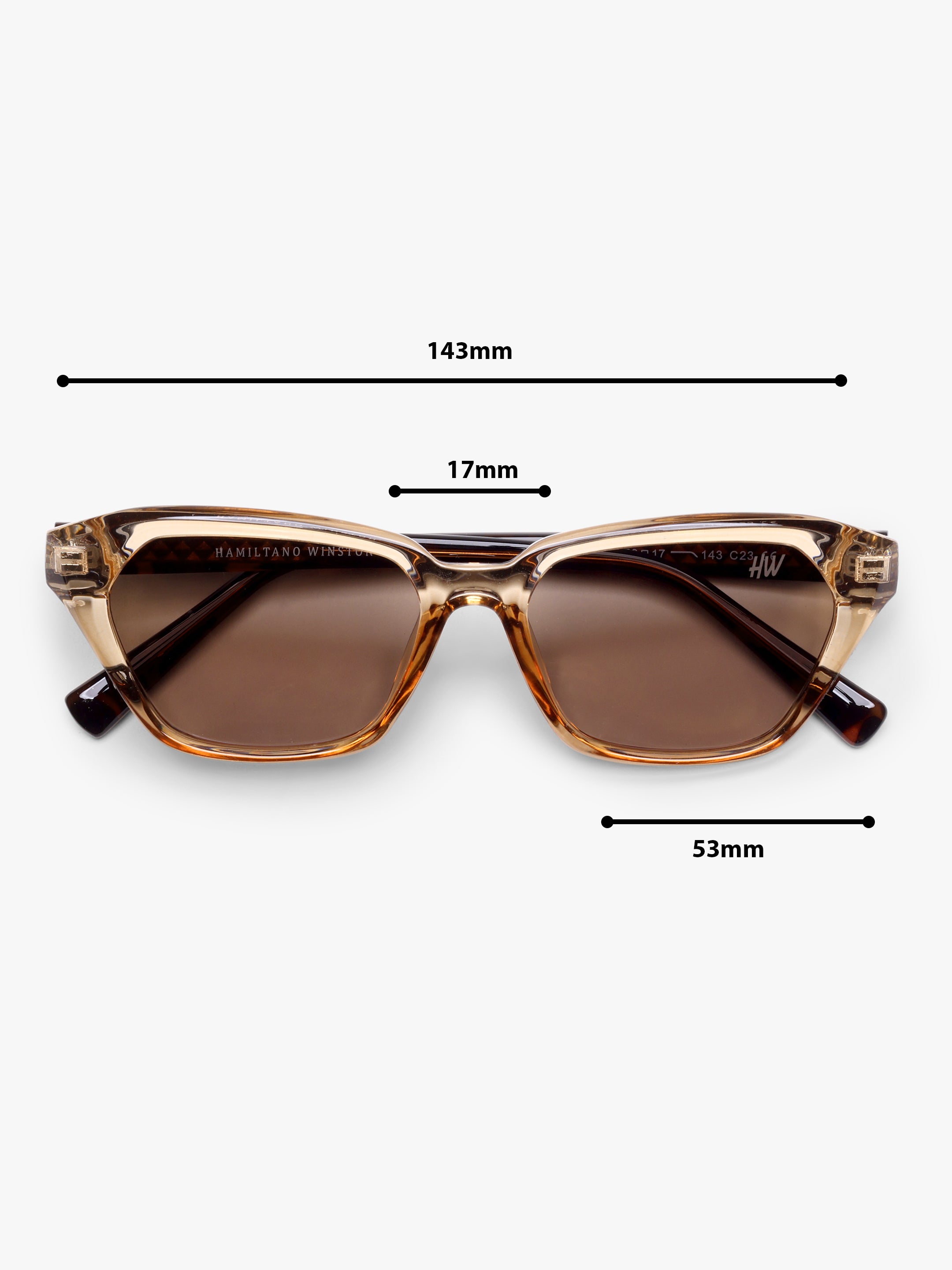 Vayra Brown UV Protected Womens Sunglasses