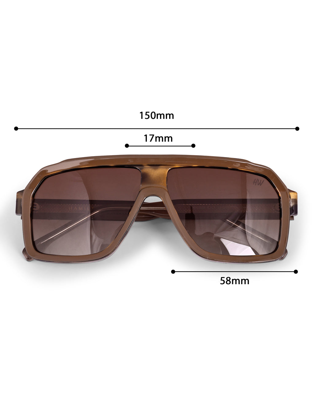 Men's Classic Brown Wayfarer Sunglasses
