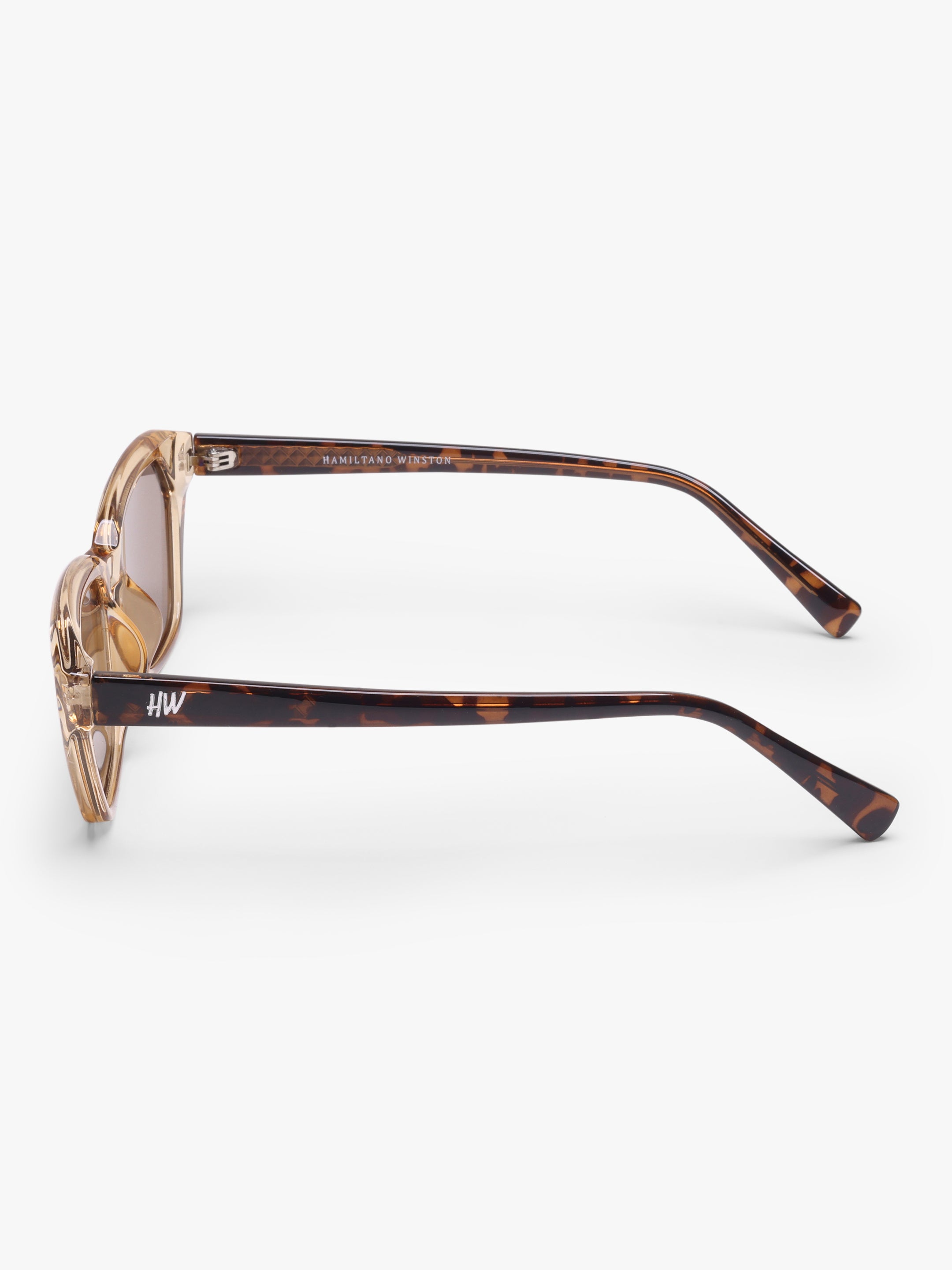 Vayra Brown UV Protected Womens Sunglasses
