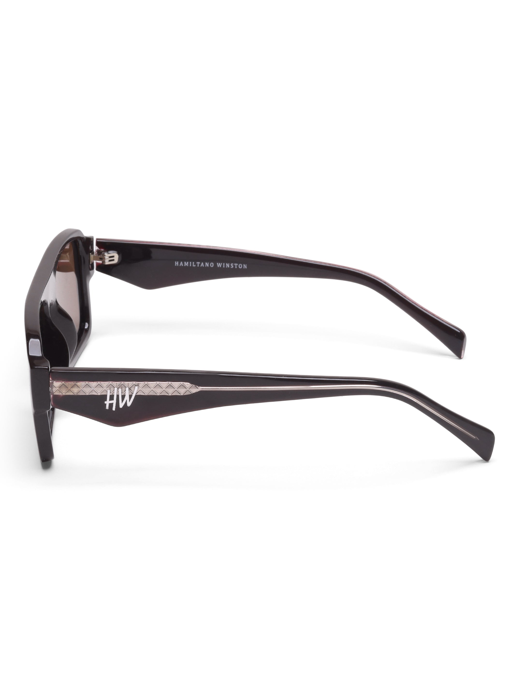 Onyx Brown Wayfarer Mens Sunglasses