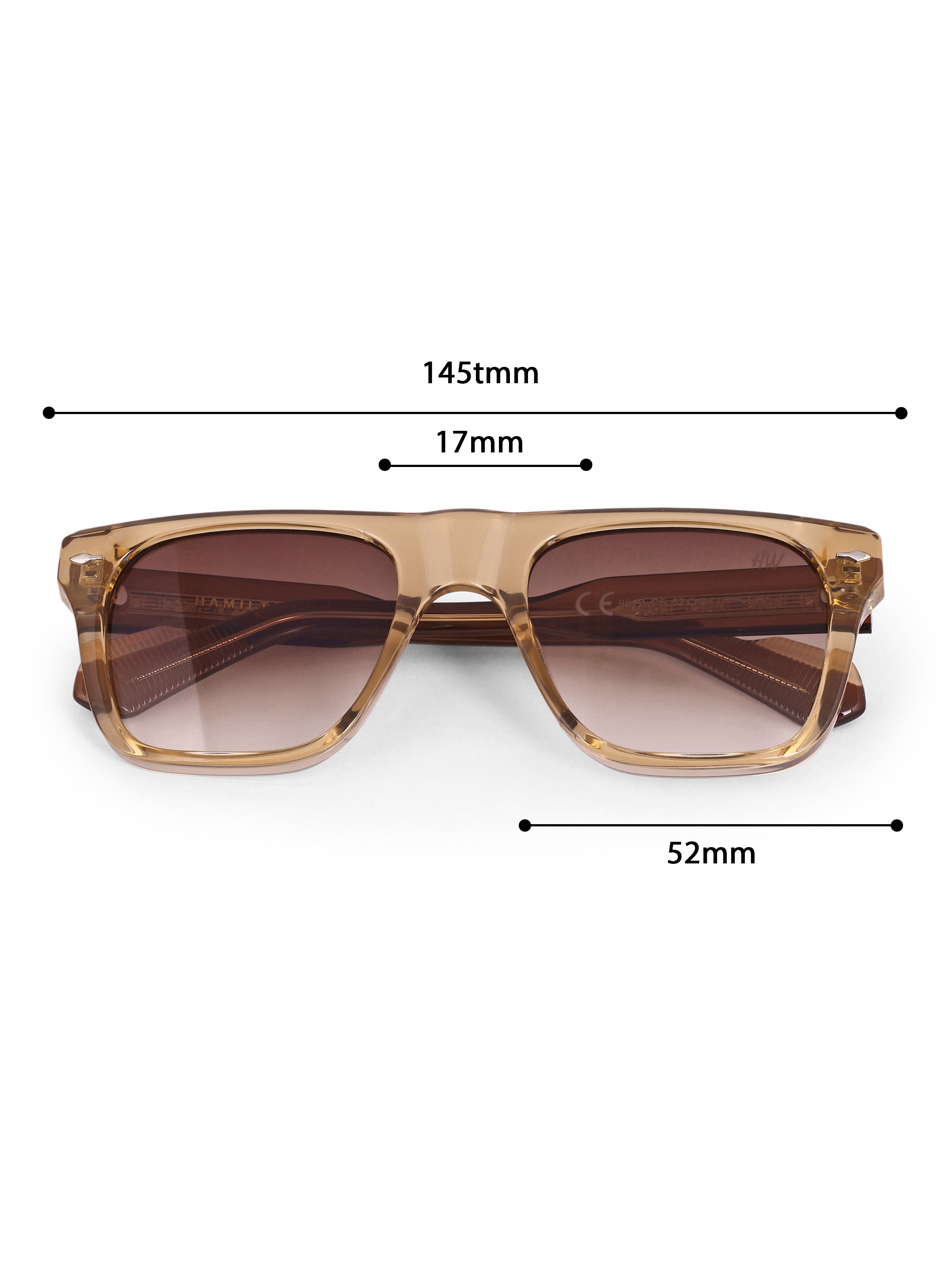Men's Classic Brown Wayfarer Sunglasses