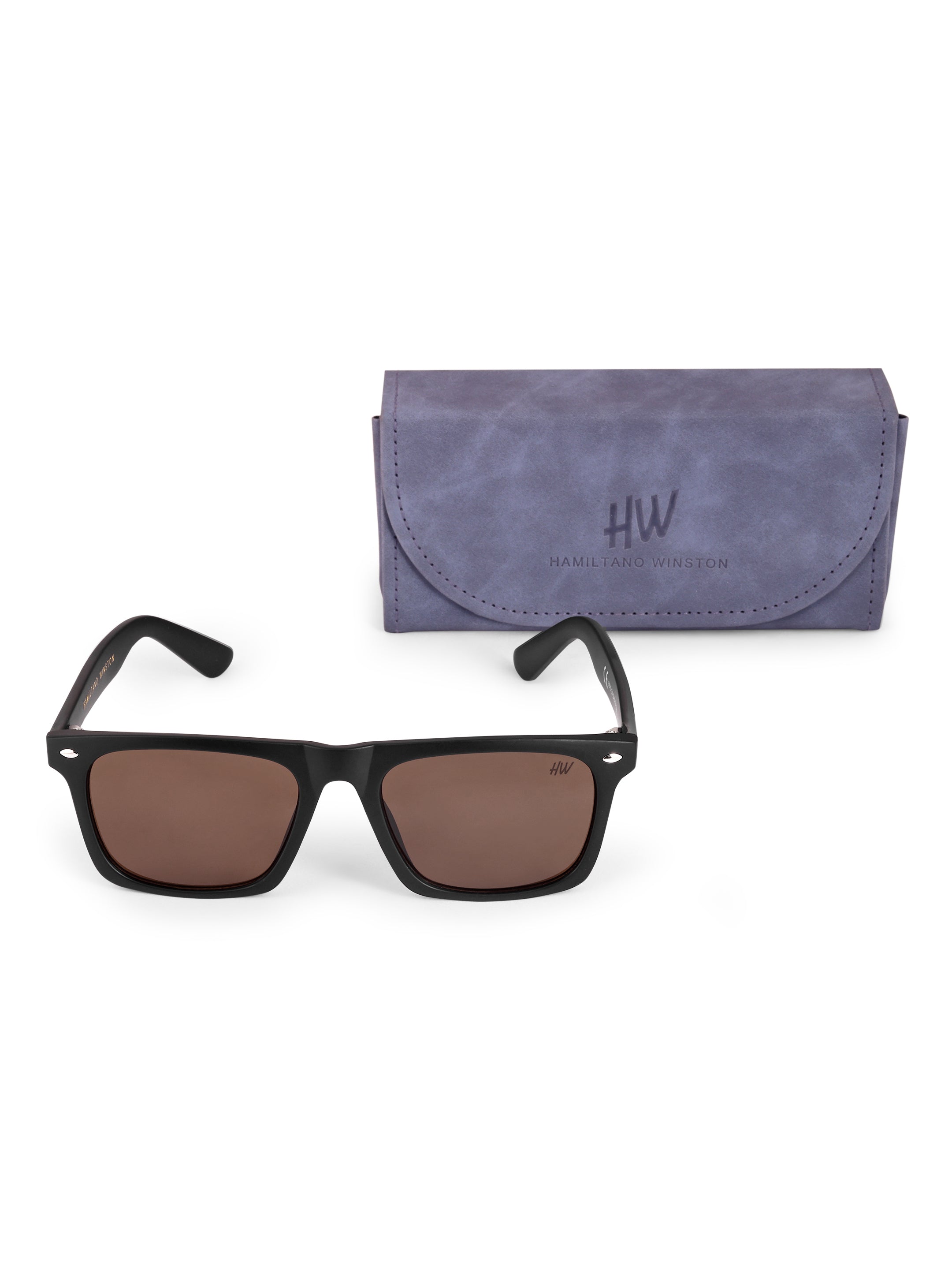 Men's Classic Dark Brown Wayfarer Sunglasses