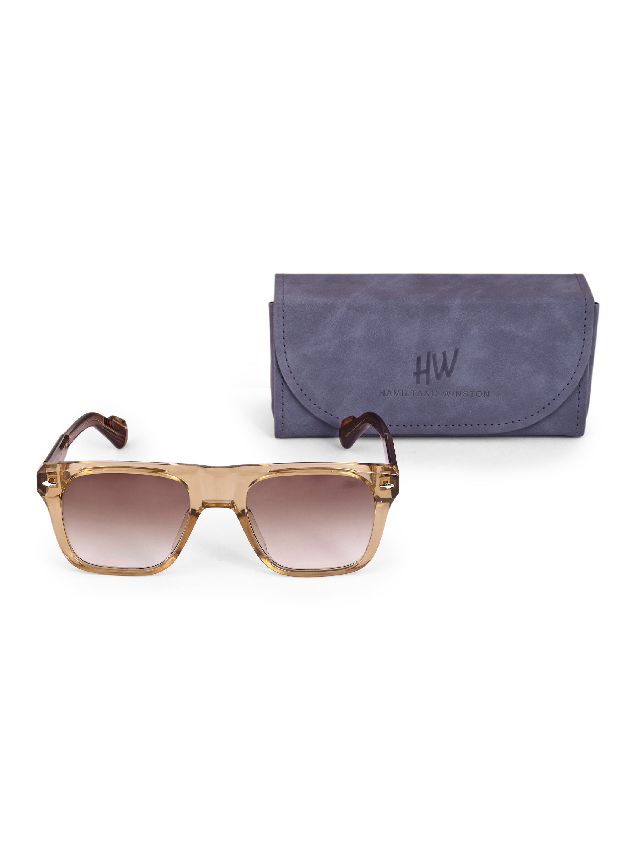 Men's Classic Brown Wayfarer Sunglasses