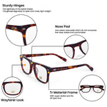 Hw leopard wayfarer optical