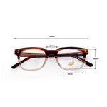 HW brown transy wayfarer optical - Male