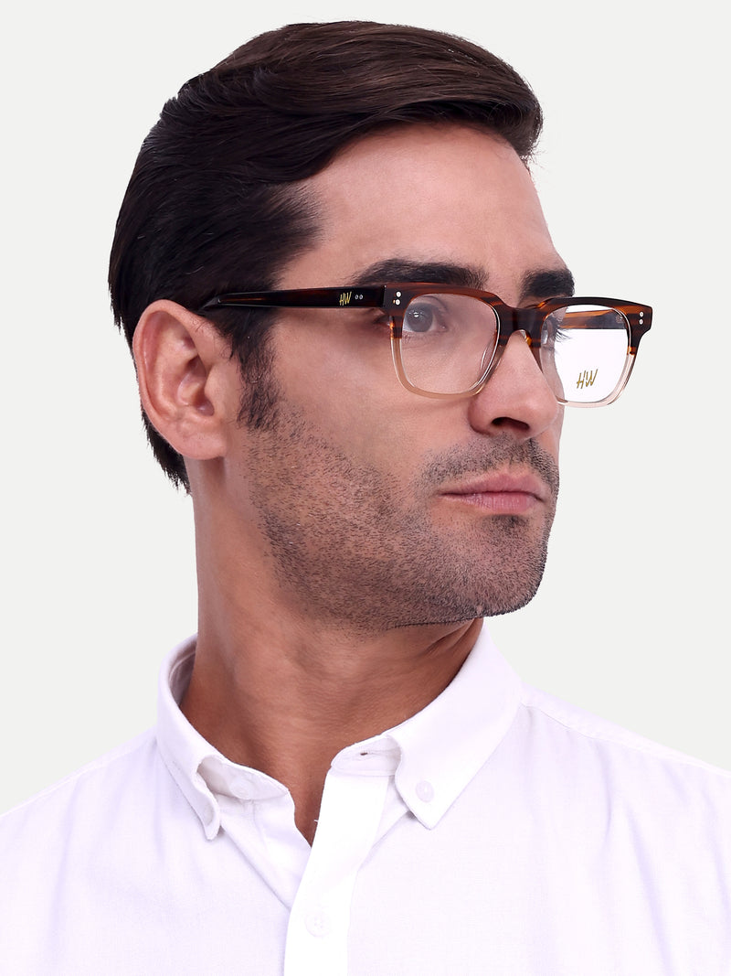 HW brown transy wayfarer optical - Male