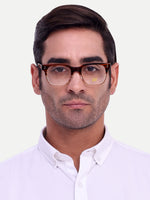 HW brown transy wayfarer optical - Male