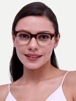 HW brown transy wayfarer optical - Female