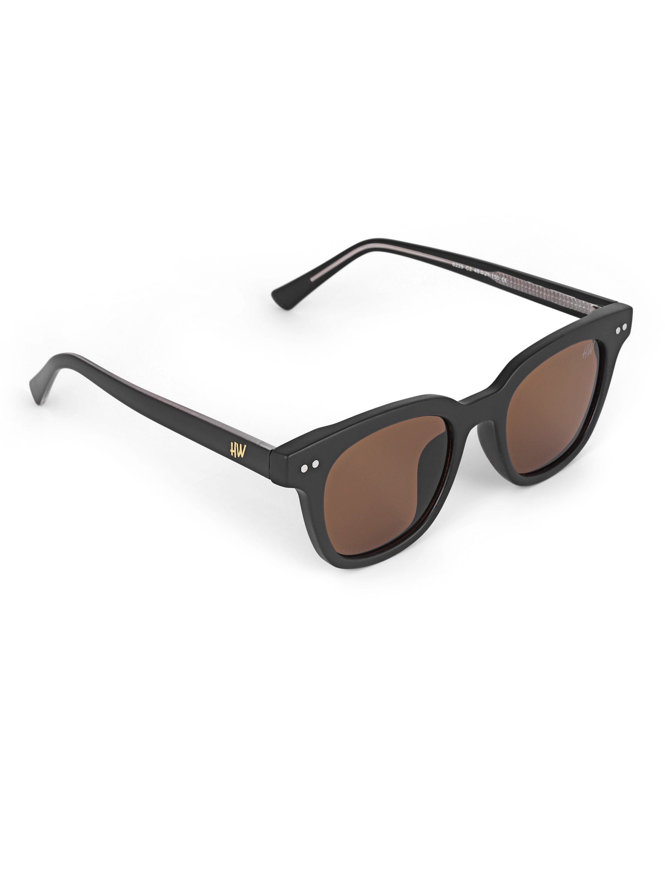 Black brown mens pento sunglasses