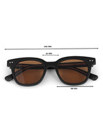 Brown womens sunglasses