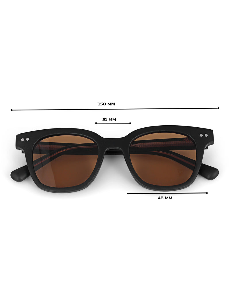 Brown womens sunglasses