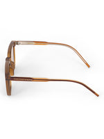 Brown wayfarer mens sunglasses