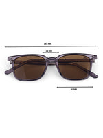Brown wayfarer womens sunglasses