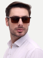 Brown  wayfarer mens sunglasses