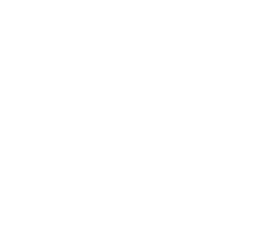 Brand Logo White